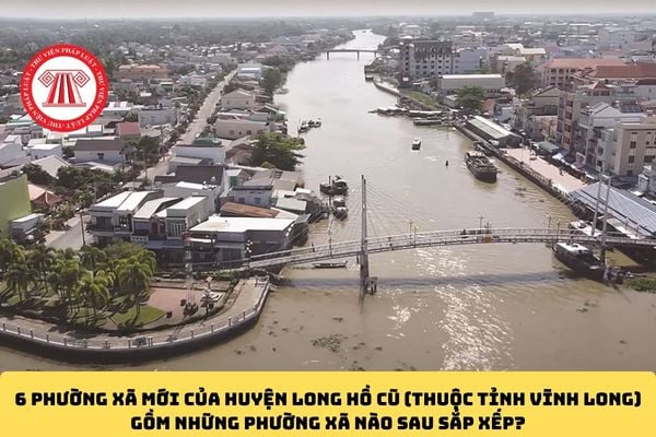 Pháp luật