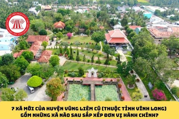 Pháp luật