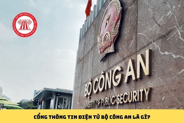 Pháp luật