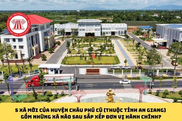 Pháp luật
