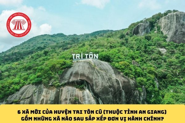 Pháp luật