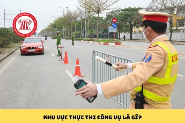 Pháp luật