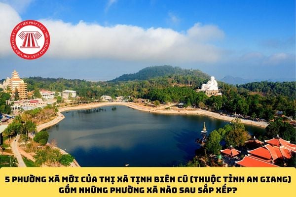 Pháp luật