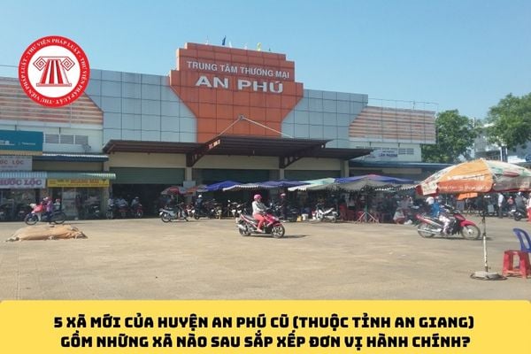 Pháp luật