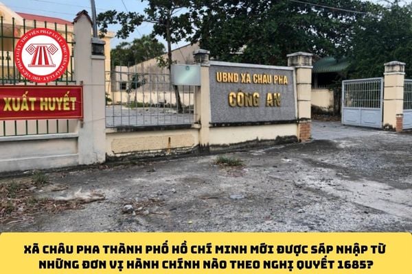 Pháp luật