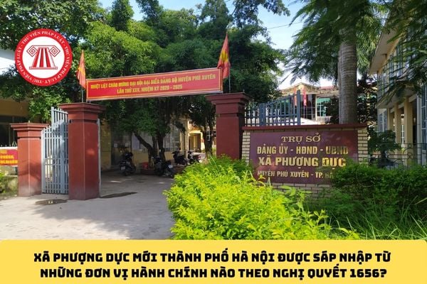 Pháp luật