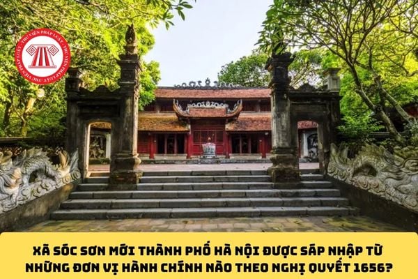 Pháp luật