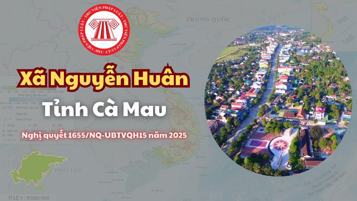 Pháp luật