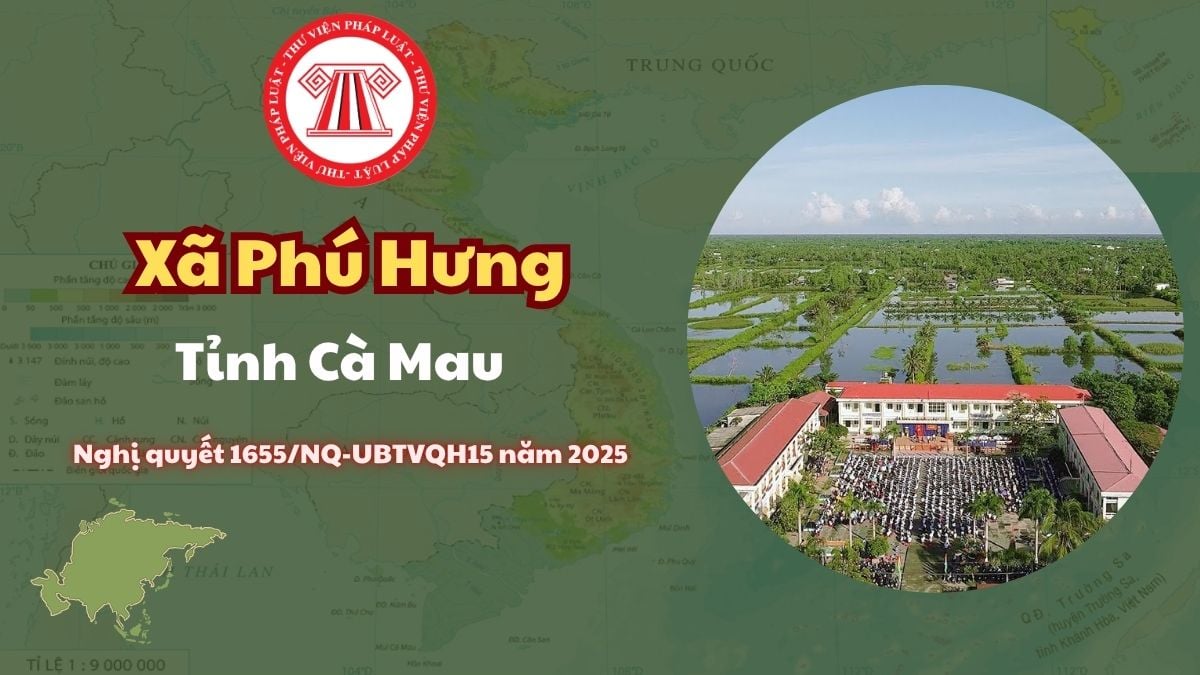 Pháp luật
