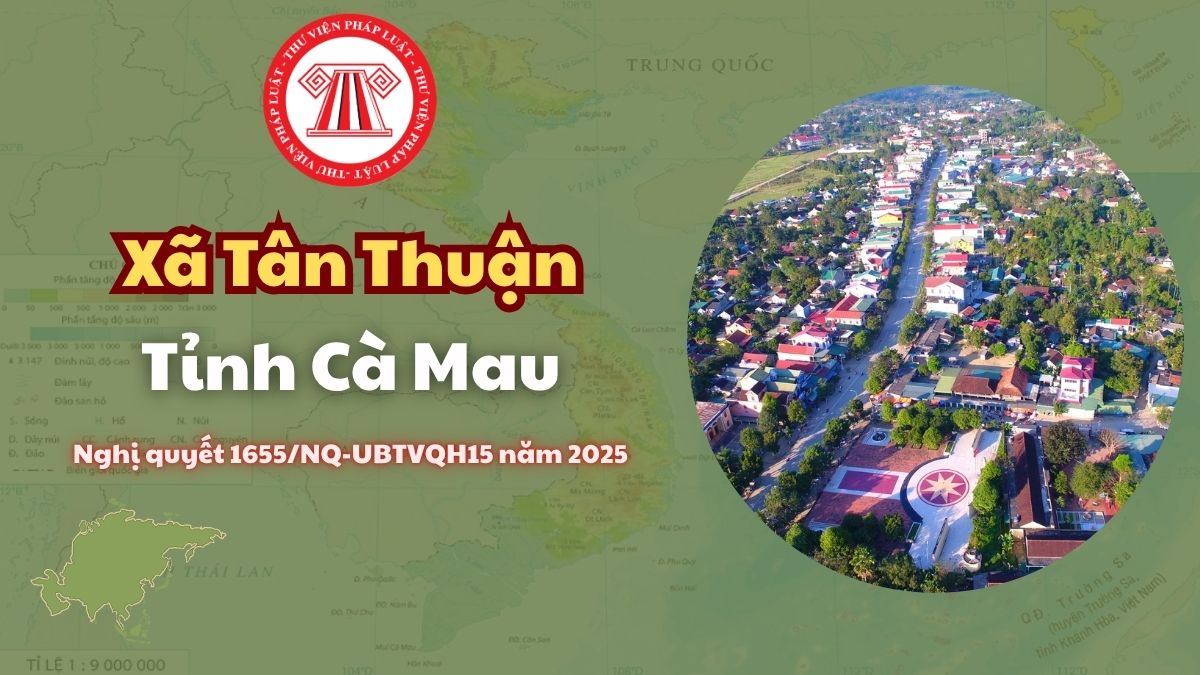 Pháp luật