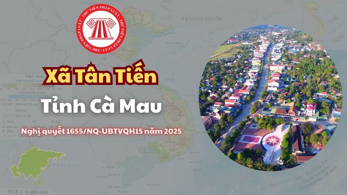 Pháp luật
