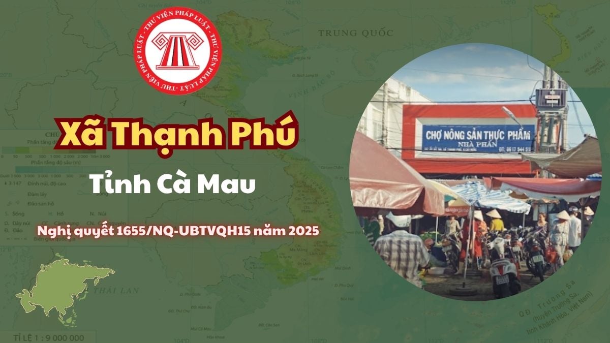 Pháp luật