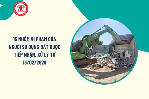 Pháp luật