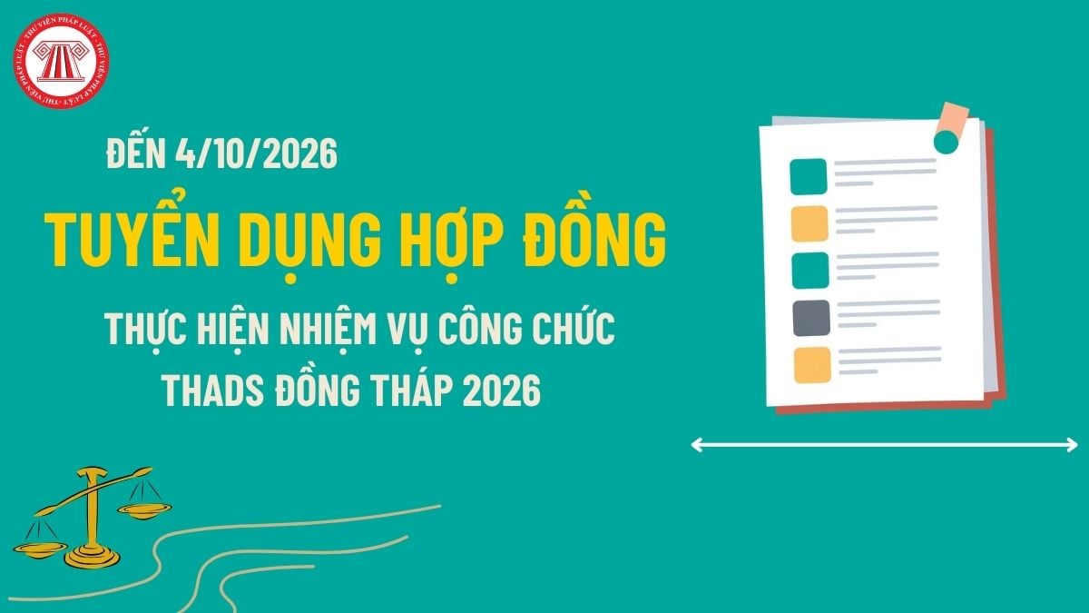 Pháp luật