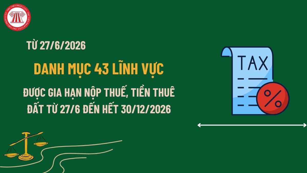 Pháp luật