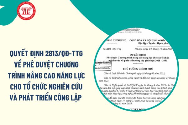 Pháp luật
