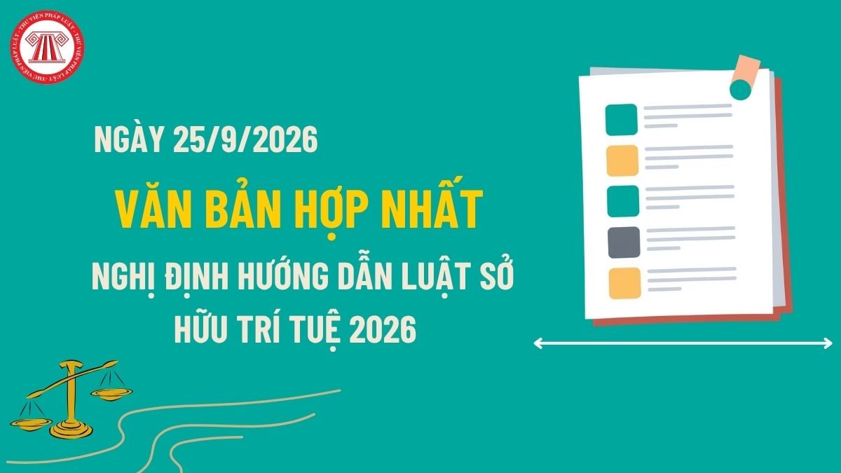 Pháp luật