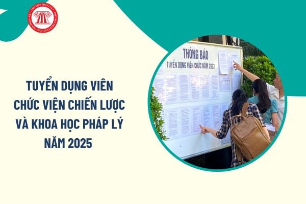 Pháp luật