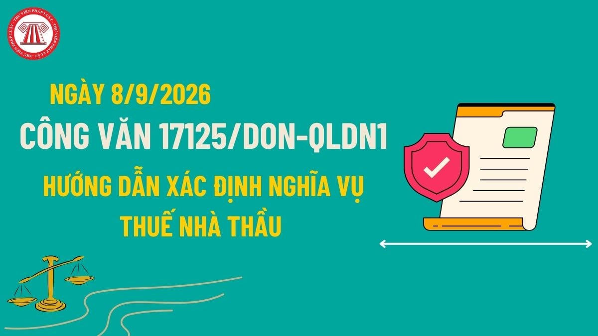Pháp luật