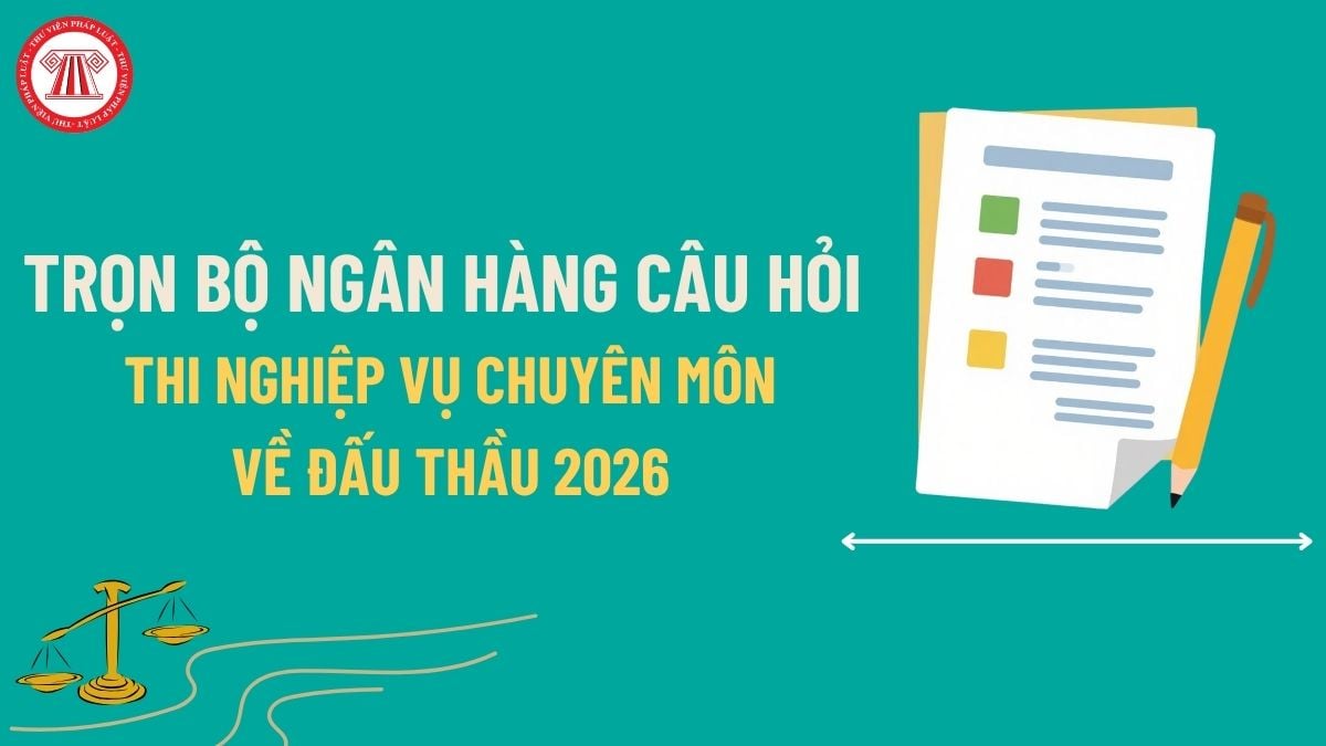 Pháp luật