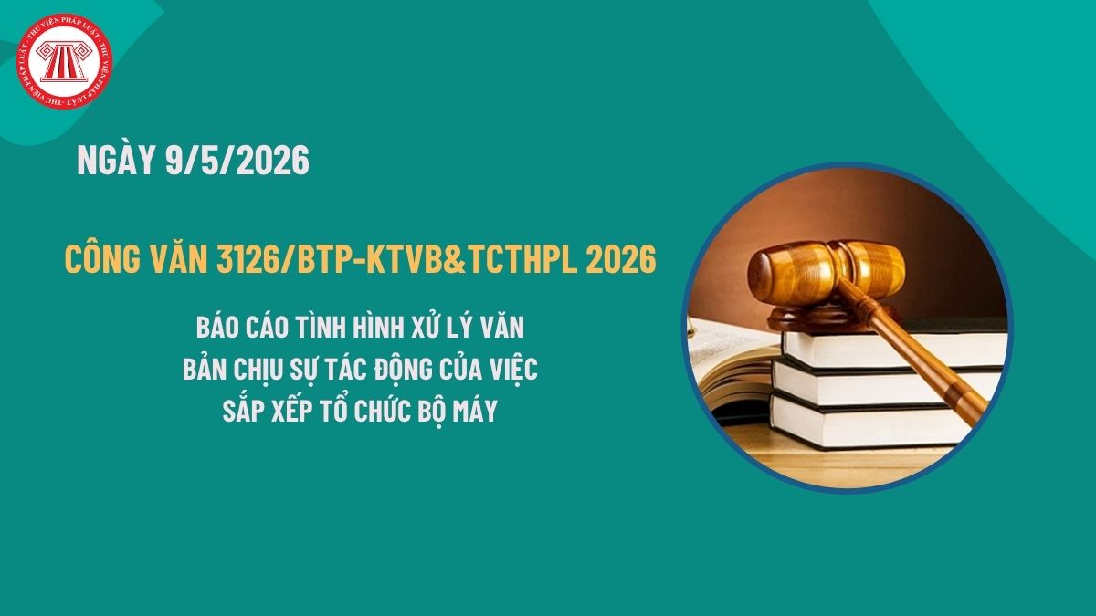 Pháp luật