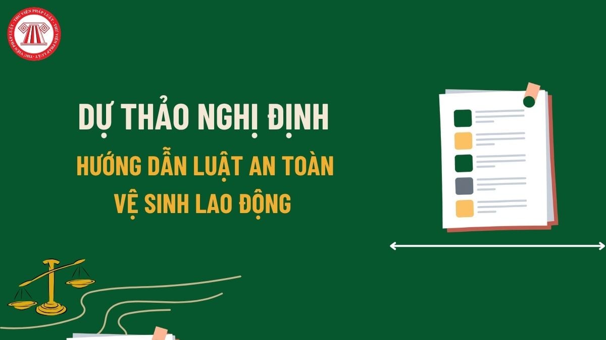 Pháp luật