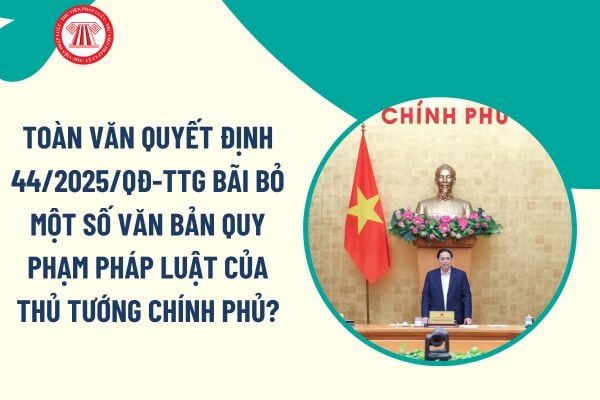 Pháp luật