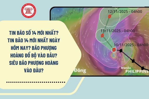 Tin bão số 14 mới nhất? Tin bão 14 mới nhất ngày hôm nay? Bão Phượng Hoàng đổ bộ vào đâu? Siêu bão Phượng Hoàng vào đâu? 