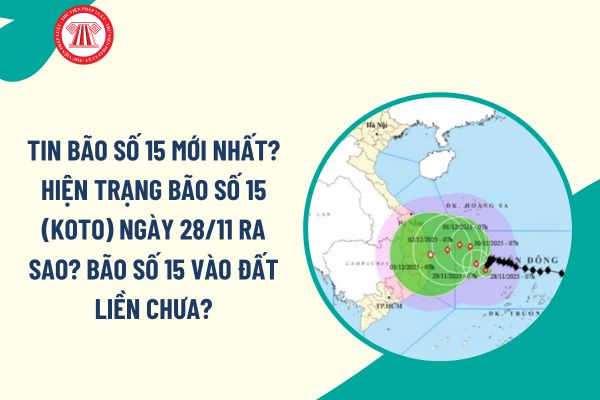 Pháp luật