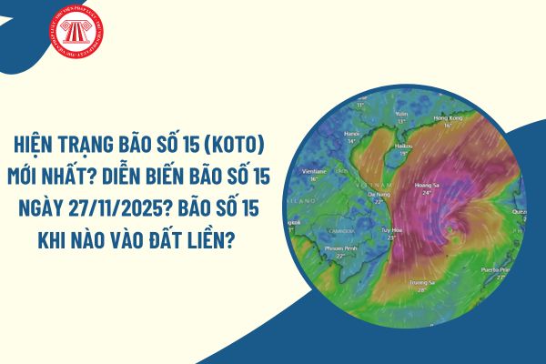 Pháp luật