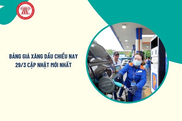 Pháp luật