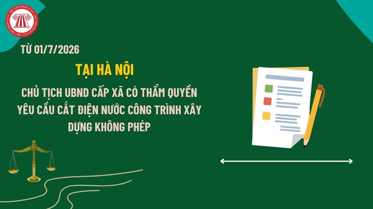 Pháp luật