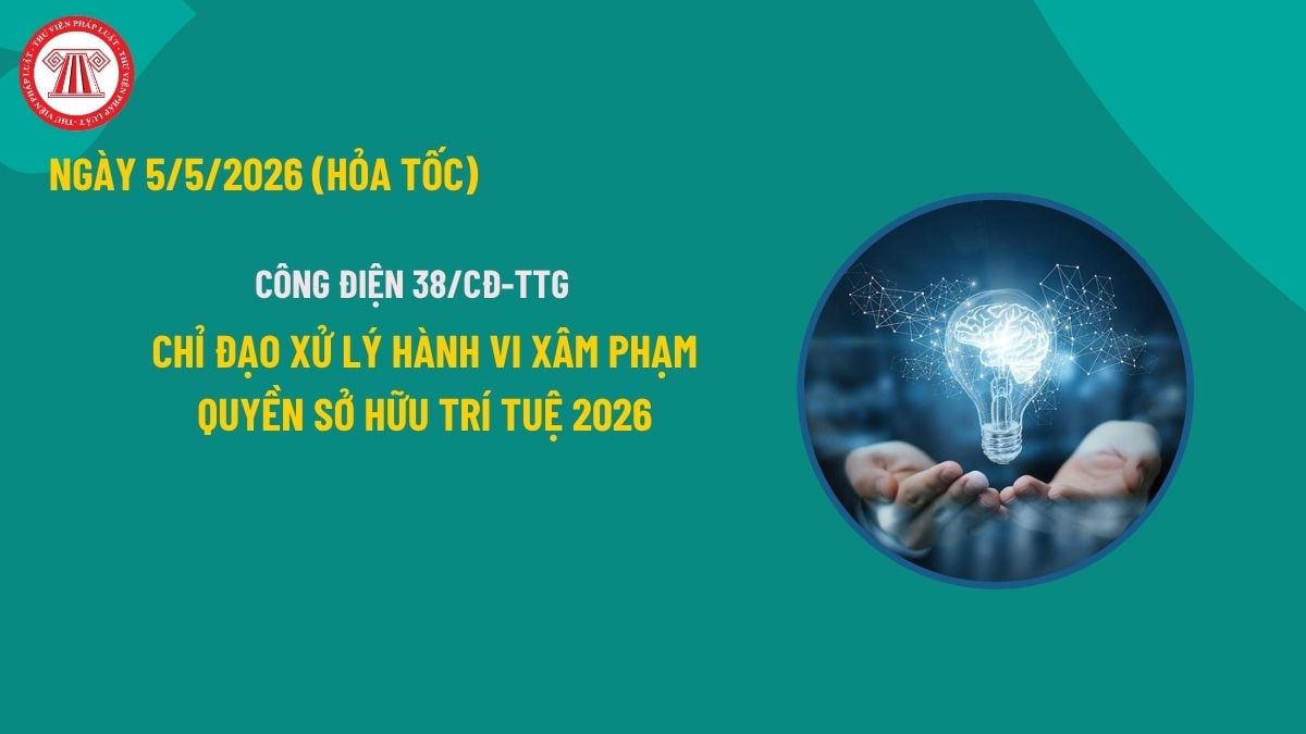 Pháp luật