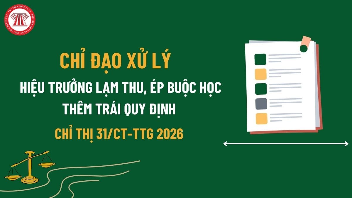 Pháp luật