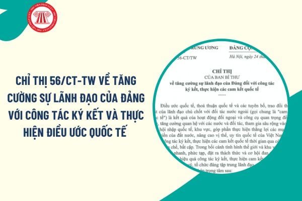Pháp luật