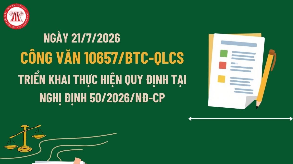 Pháp luật