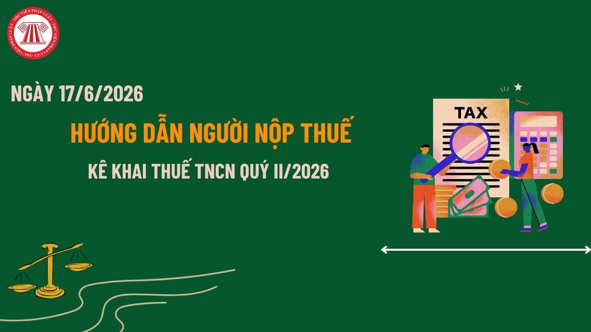 Pháp luật