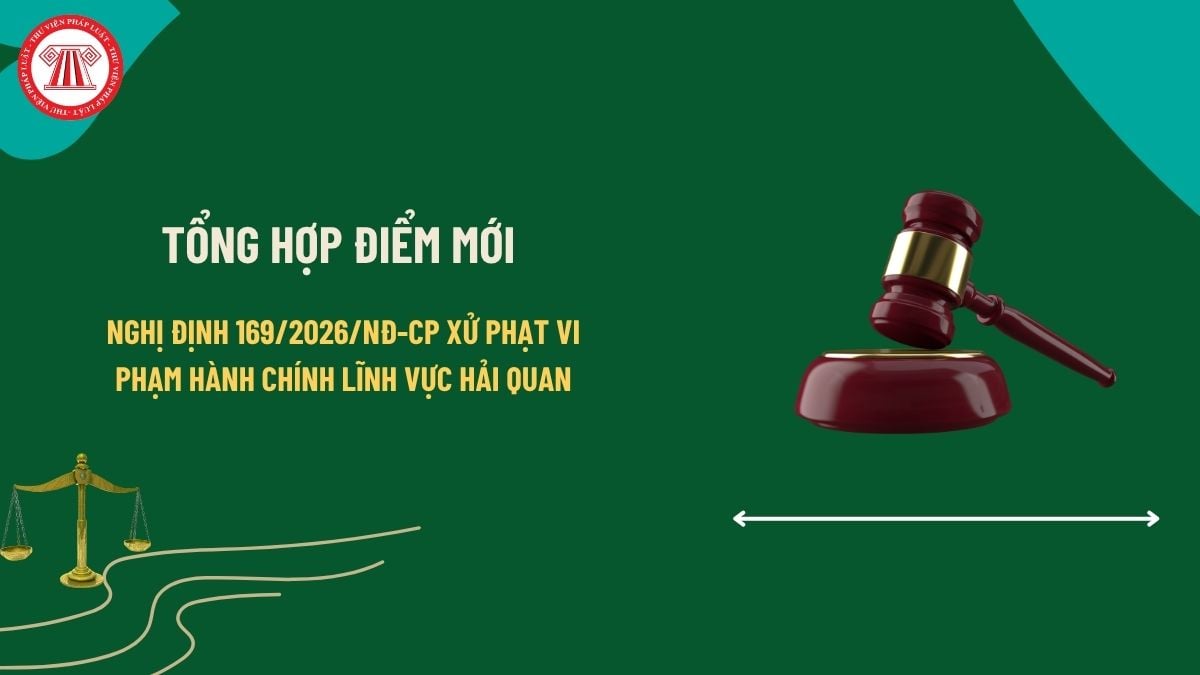 Pháp luật