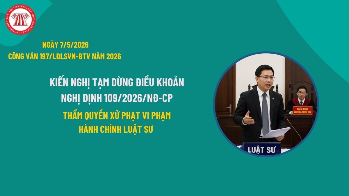 Pháp luật