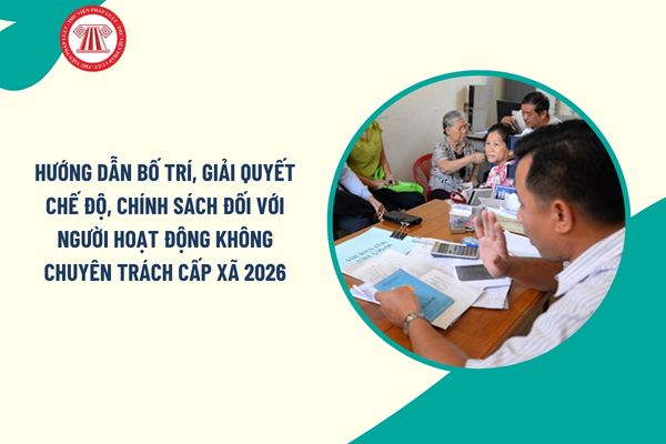 Pháp luật