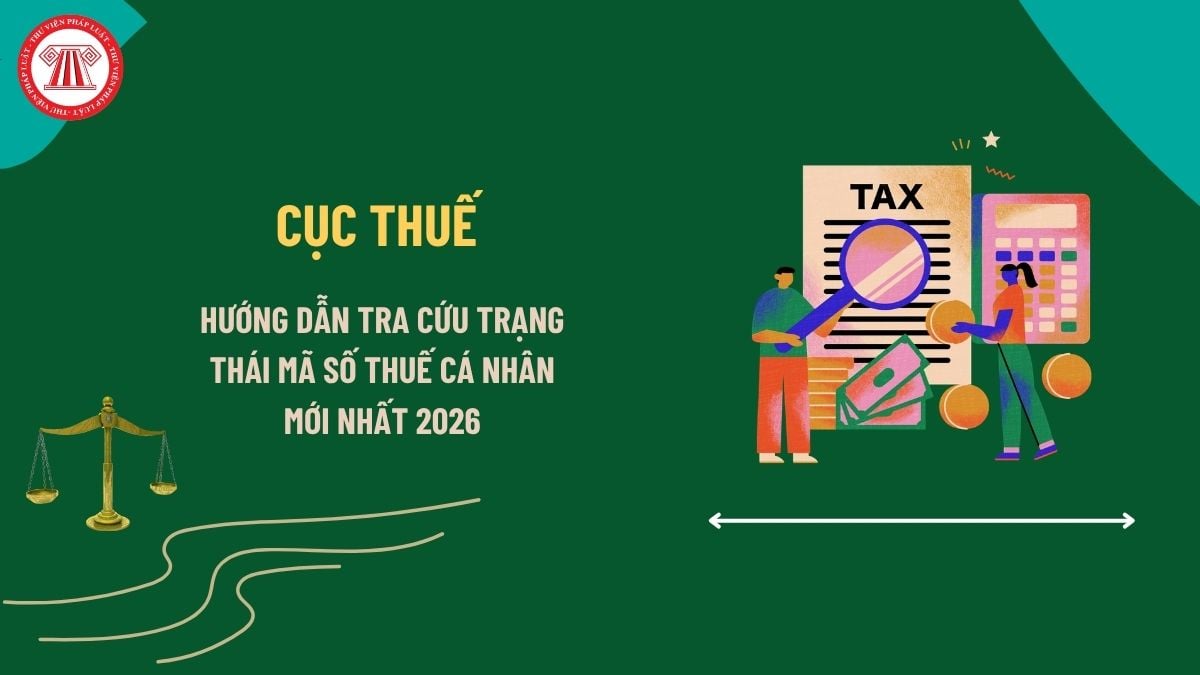 Pháp luật