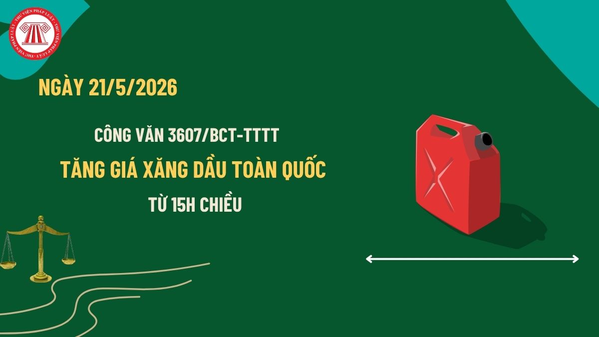 Pháp luật