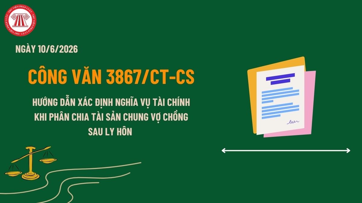 Pháp luật