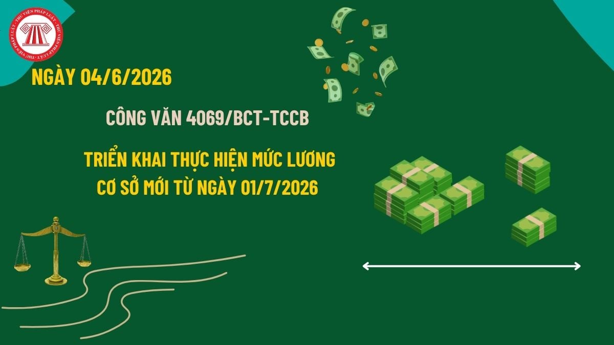 Pháp luật