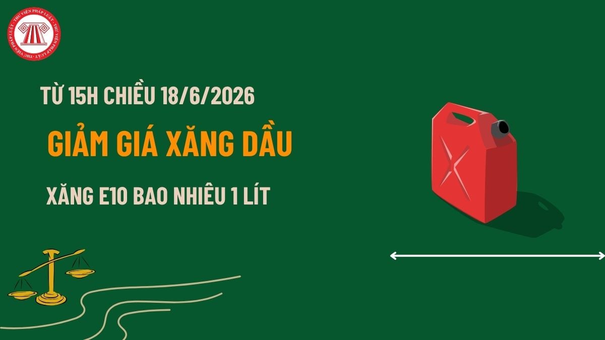 Pháp luật