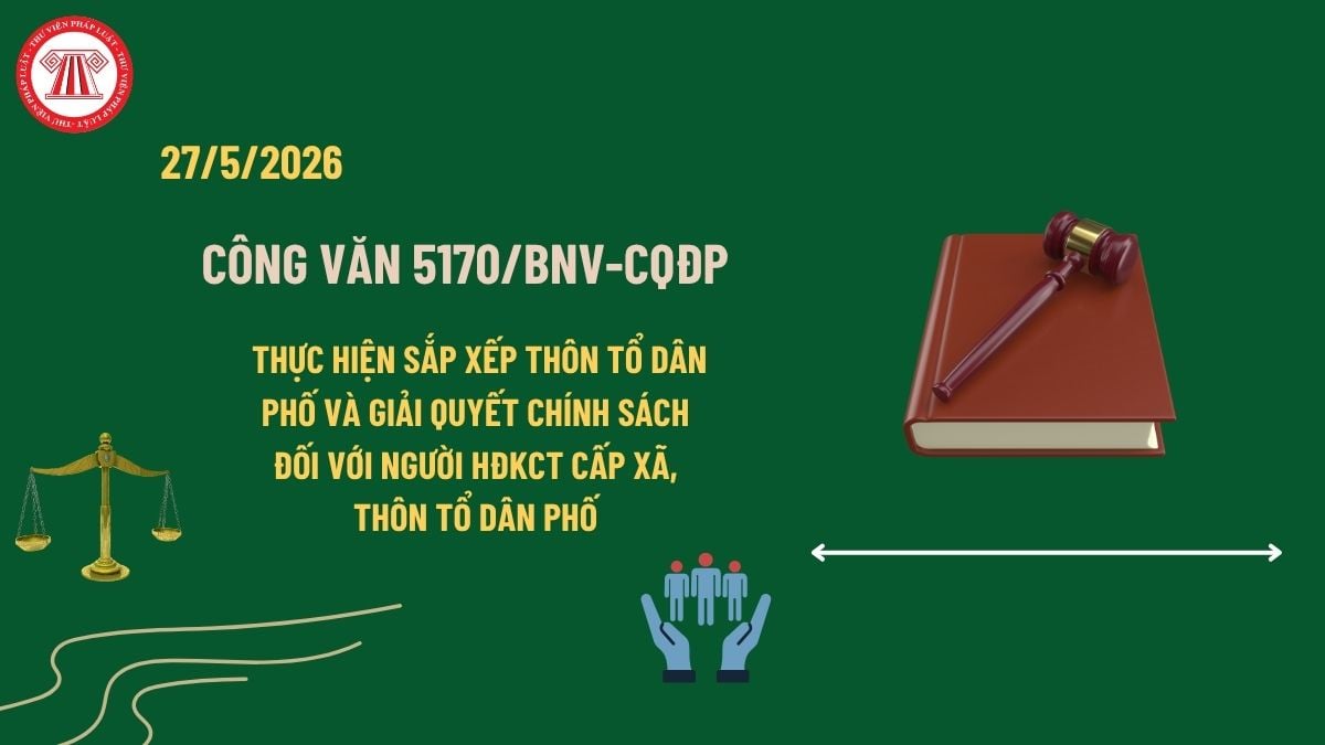 Pháp luật