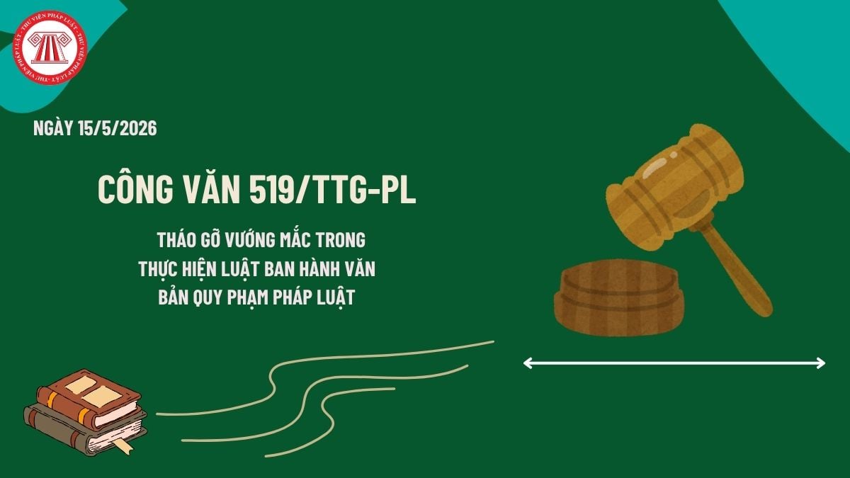 Pháp luật