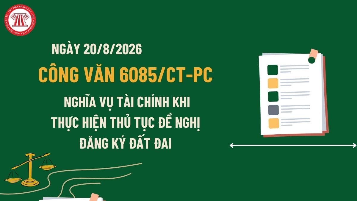 Pháp luật