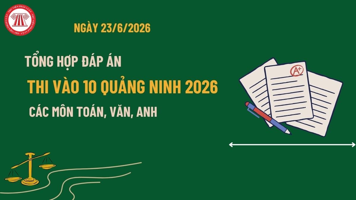 Pháp luật