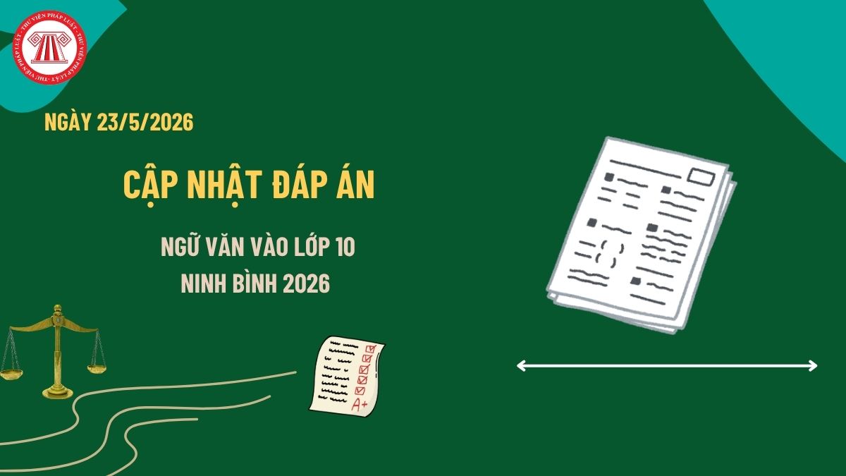 Pháp luật
